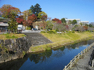 芳賀高継の画像