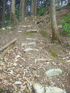 坂広秋の画像