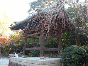 戸沢光盛の画像