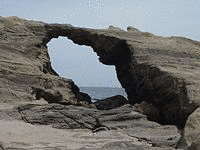 三浦義意の画像