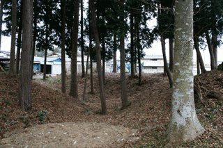 七井勝忠の画像