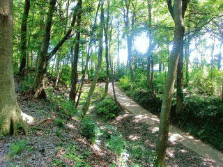 高井胤永の画像