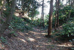 石川康通の画像