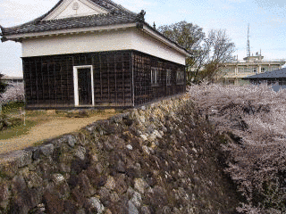三宅康信の画像