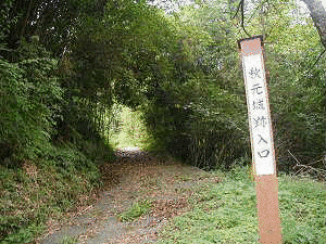 秋元義久の画像