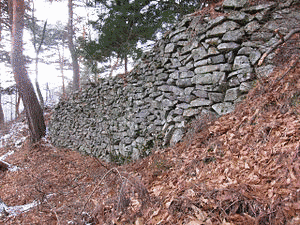 山家昌治の画像