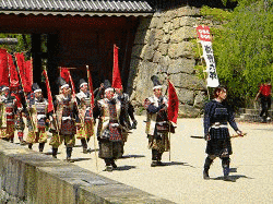 丸山土佐守の画像