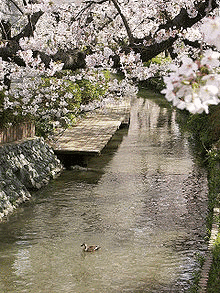 田中吉次の画像