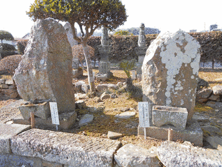 皆川俊宗の画像