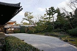 新宮行朝の画像