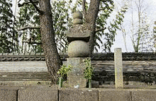 酒井忠尚の画像