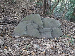 米原綱寛の画像