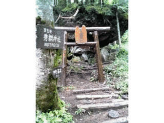 八幡山秀綱の画像