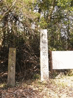 千本義定の画像