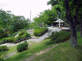 津田武永の画像