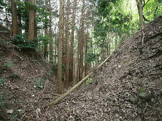 野間資持の画像
