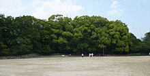 十市遠治の画像