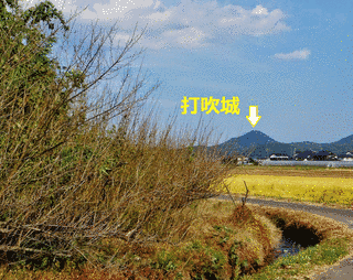 小鴨元清の画像