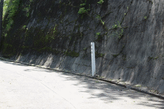 真里谷朝信の画像