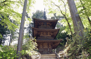 伴野貞祥の画像