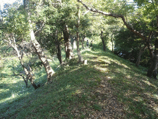 平岡通倚の画像