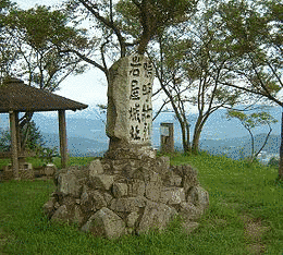 高橋鑑種の画像