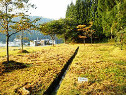 武田信景の画像