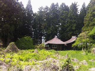 上山義房の画像