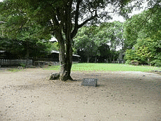 田中吉信の画像