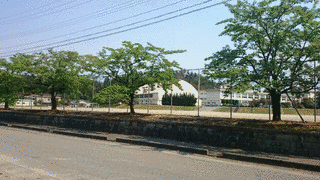五十公野信宗の画像
