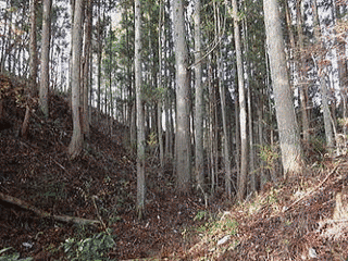竹貫重光の画像
