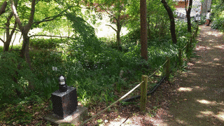 依田信幸の画像