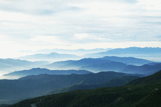 芋川親正の画像