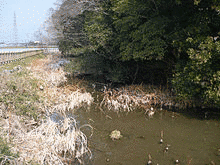 小笠原成助の画像