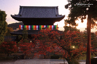 宮城頼久の画像