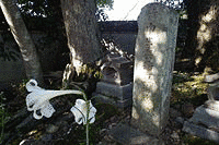 竹中重元の画像