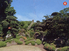 佐多久慶の画像