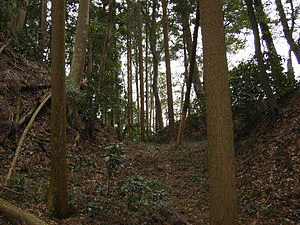 岡本保真の画像