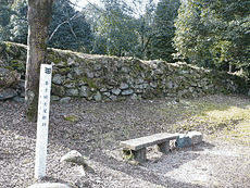妻木頼忠の画像