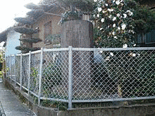 杉原長氏の画像