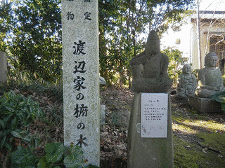 一色直朝の画像