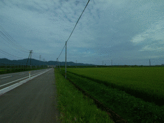大宝寺義勝の画像