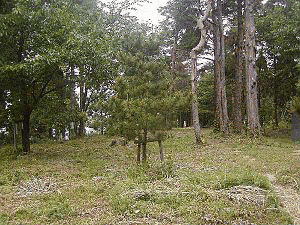 佐々平左衛門の画像
