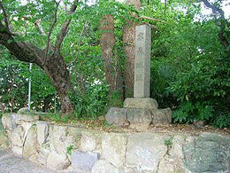 織田信光の画像