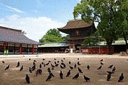 島津忠隣の画像