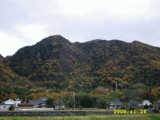 渋川義正の画像