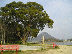 香川光景の画像
