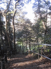 井田友胤の画像