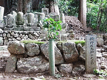 新野親矩の画像