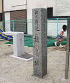 下間頼純の画像